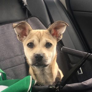 Meet your Posher, Kathy